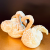 Swan de Krehm